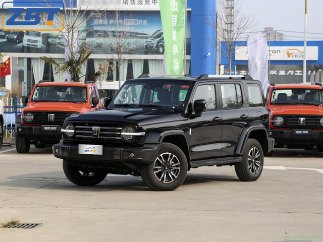 Great Wall Tank 300 Gasoline SUV