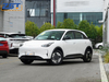 2025 jili xingyuan New Energy Hybrid SUV electric car US $11599.00 - 11999.00/