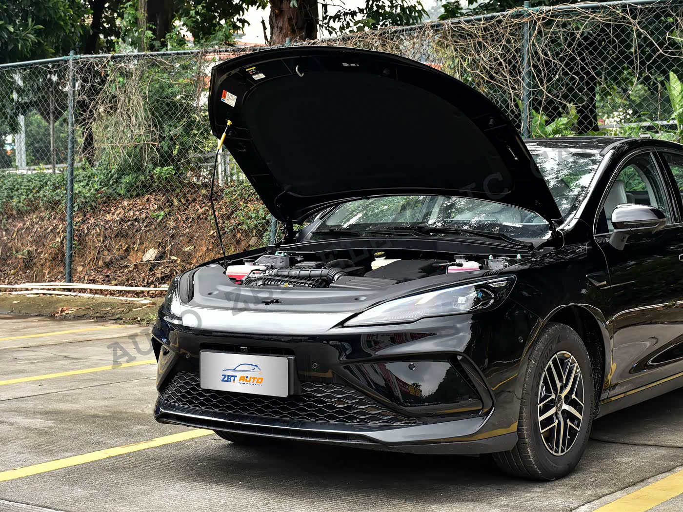 Sealion 05 DM-i -B08