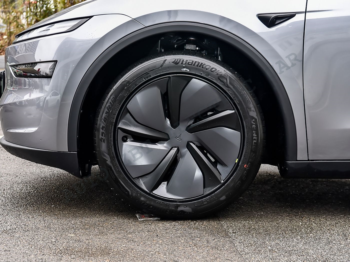 Model Y+ S16