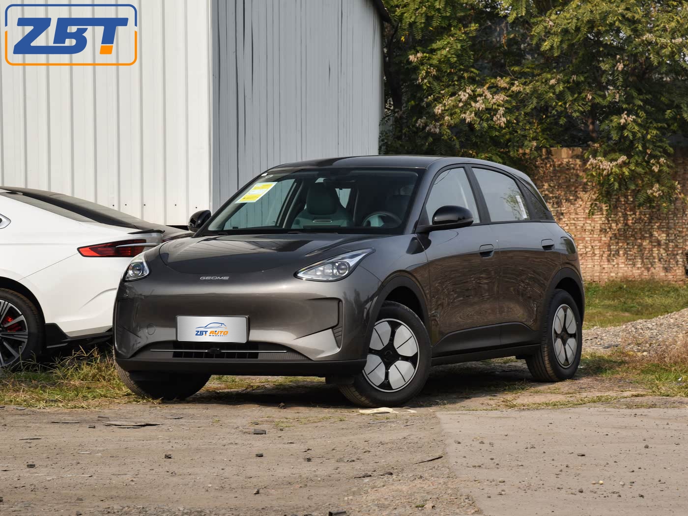 jili xingyuan-A01