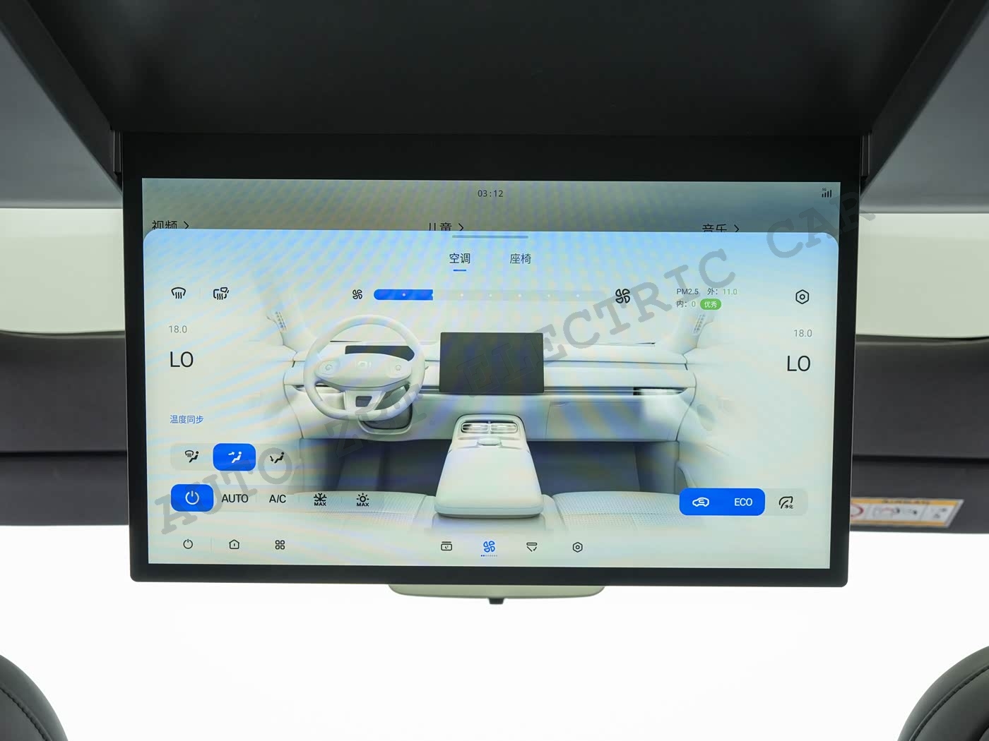 Qiyuan Q06 - L81