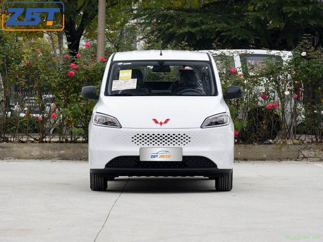 Wuling Hongguang EV Gasoline-Powered Small Passenger Car Fuel Vehicle US $11799.00 - 11999.00/