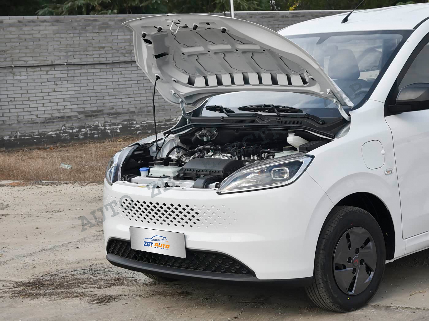 Wuling Hongguang - W08