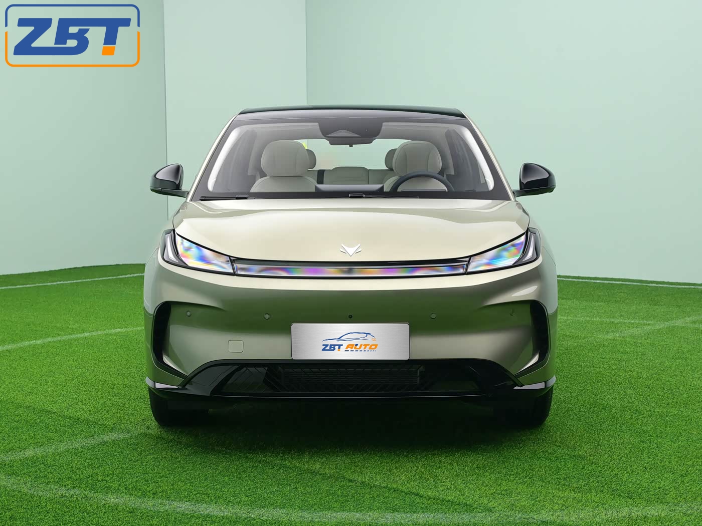 ARCFOX BT T1 - L02