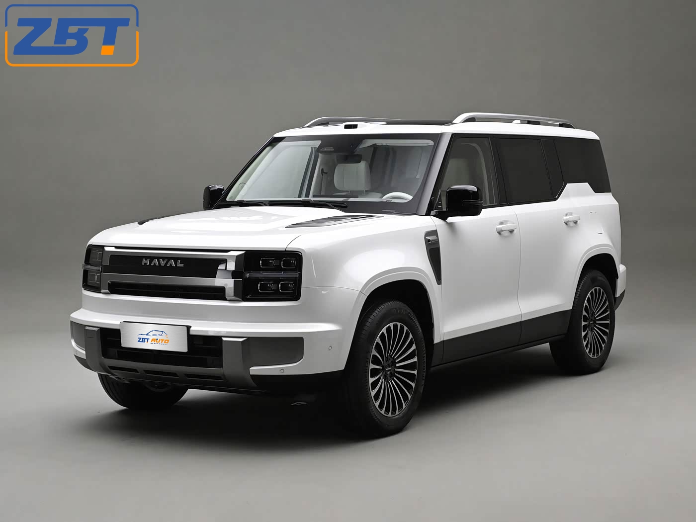 CHANGCHENG H10 - W01